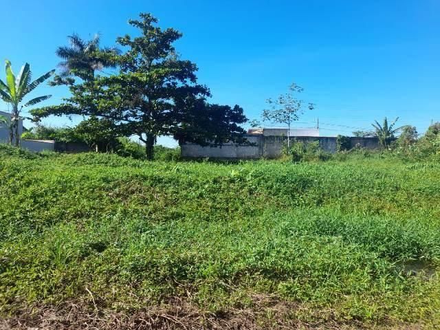 Lote/Terreno à Venda, Antonio Novaes - Peruíbe - Lote/Terreno em Antonio Novaes, Peruíbe - à venda - Oliveira Filx Imóveis