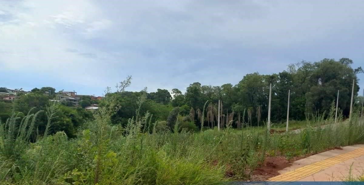 TERENO BAIRRO GLÓRIA - Terreno em Centro, Santa Rosa - à venda - MC Negócios Imobiliários LTDA