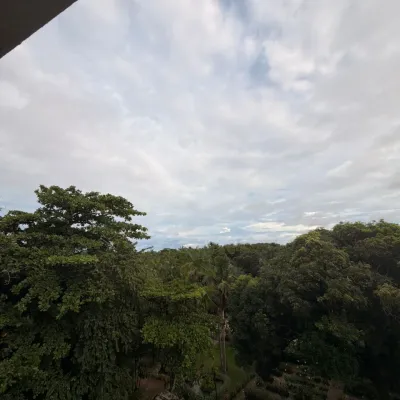Vista da área verde