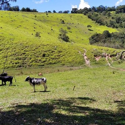 TERRENO À VENDA EM CRUCILÂNDIA 97.250 M²