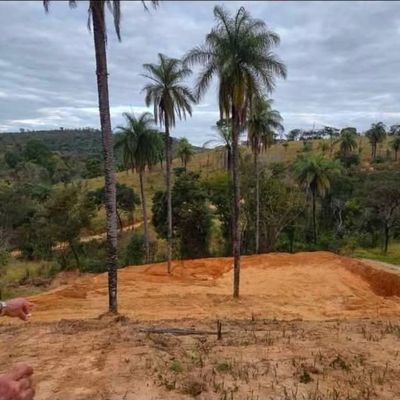 Paisagem com árvores e terra exposta