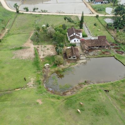 CHÁCARA EM MASSARANDUBA - Sítio em Massaranduba - à venda - Brisa Sul Imóveis