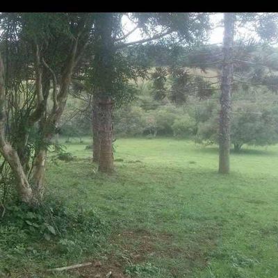 Chácara à Venda - Ijuí - Chácara em Ijuí - à venda - IMOBILIÁRIA SOLUÇÃO IMÓVEIS IJUÍ