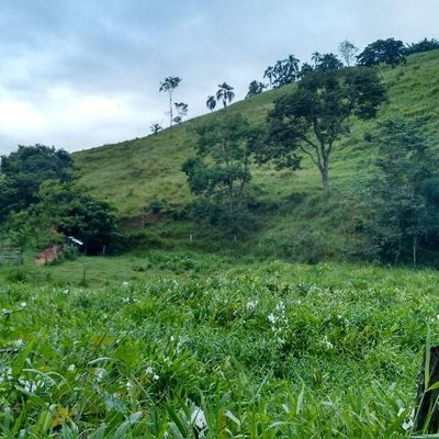 Sítio à Venda, Ribeirão Grande - Pindamonhangaba - Sítio em Ribeirão Grande, Pindamonhangaba - à venda - EDSON DERRICO IMOVEIS LTDA