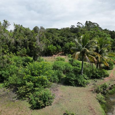 🌿 ATENÇÃO CONSTRUTOR: MAIS DE 30 MIL METROS URBANOS EM JACARAÍPE, SERRA/ES