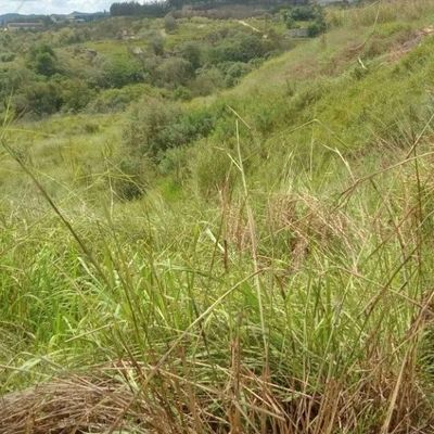 Área para alugar, 2277 m² por R$ 22.000,00/mês - Chacara Dora - Araçariguama/SP - Lote/Terreno em Araçariguama - para locação - Janaina G A Marques Imóveis - ME