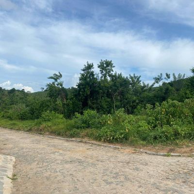 VILA MAIA 3,8 HECTARES A VENDA 180MIL POR HECTARES- BANANEIRAS-PB - Lote/Terreno em Distritos, Bananeiras - à venda - Pedro Soares Imóveis
