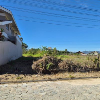 Lote/Terreno à Venda, Centro - Ilhota - Lote/Terreno em Centro, Ilhota - à venda - Tomio Imoveis Ltda