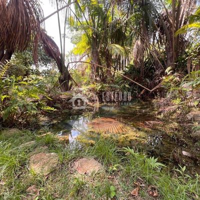 Chácara/Área, 20.400,00 m2, asfalto, ao lado do Jardim Itaipu; - Lote/Terreno em Loteamento Quinta do Rio Dourados, Goiânia - à venda - ESTEVÃO IMOBILIÁRIA LTDA