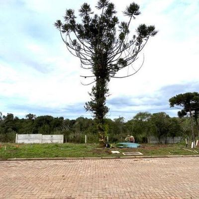 Lote/Terreno, Centro - Nova Santa Rita - Lote/Terreno em Centro, Nova Santa Rita - à venda - VARGAS IMOVEIS LTDA