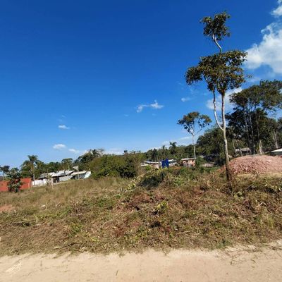 Terreno no Tabuleiro 1500m da praia, 300m² em Barra Velha - Lote/Terreno em Tabuleiro, Barra Velha - à venda - Manacá Negócios Imobiliários