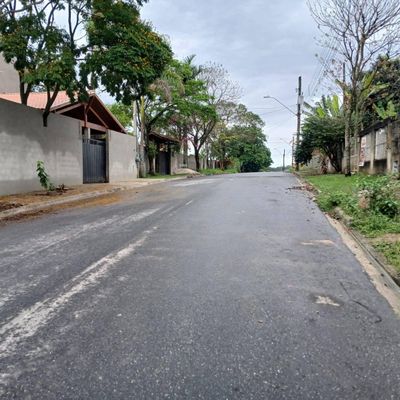 rua asfaltada com árvores e muro