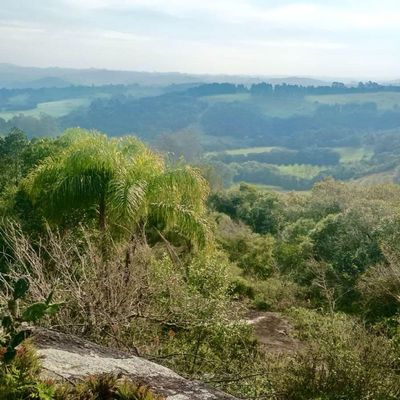 6 hectares com uma vista incrível, própria para turismo rural - Sítio em Distrito Vila Nova, Pelotas - à venda - Ju Vargas Imóveis