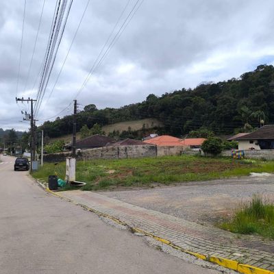 Area externa