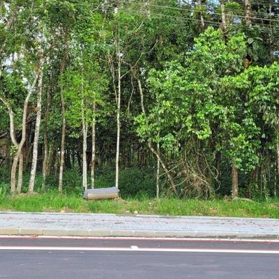 Terreno de 1.860,00m² - Lote/Terreno em Sossego, Schroeder - à venda - SONHO D`LAR IMOVEIS LTDA