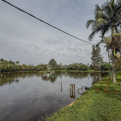 Chácara urbana à venda no São Francisco, TOLEDO/PR - Chácara em Jardim Panorama, Toledo - à venda - IMOBILIÁRIA ÓRIMA