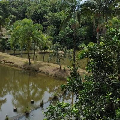 CHÁCARA COM 55 MIL m² DE ÁREA, GUAMIRANGA - Chácara em Guamiranga, Guaramirim - à venda - IMOB Imóveis