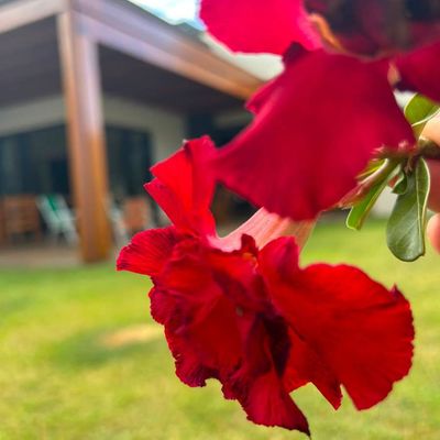Casa com 3 quartos, Florais Da Mata - Sorriso - Casa em Florais Da Mata, Sorriso - à venda - VIVABEM BRASIL IMOVEIS E LOCACOES LTDA