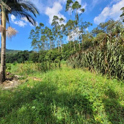 Terreno no bairro Rancho Bom - Lote/Terreno em Rancho Bom, Schroeder - à venda - SONHO D`LAR IMOVEIS LTDA