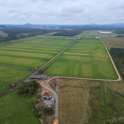 Fazenda, santa luzia - São João do Itaperiú - Fazenda em santa luzia, São João do Itaperiú - à venda - MARIAN IMÓVEIS