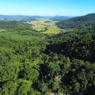 Chácara com 20.038,63 m², Jacu Açu em Guaramirim - Chácara em Jacu Açu, Guaramirim - à venda - IMOB Imóveis