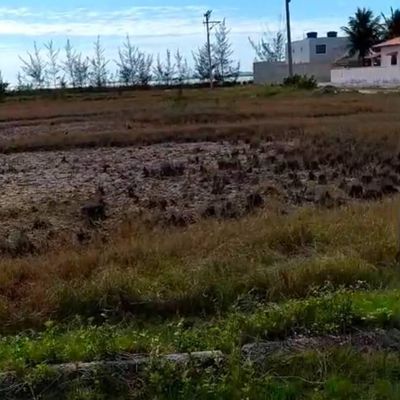 Terreno amplo, documentado e perto da lagoa