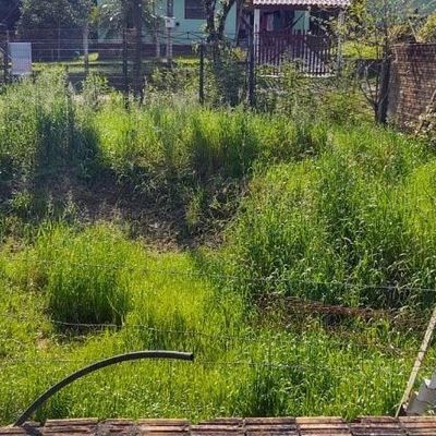 Terreno à venda, 300 m² por R$ 150.000,00 - Loteamento Rural Palermo - Gravataí/RS - Lote/Terreno em Loteamento Rural Palermo, Gravataí - à venda - Dimobi Cia imobiliaria
