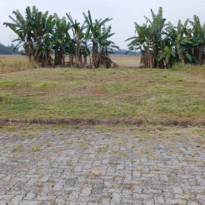 Terreno Com 300m² | Caixa D' Água - Guaramirim - Lote/Terreno em Caixa D'Água, Guaramirim - à venda - Eskala Imóveis LTDA