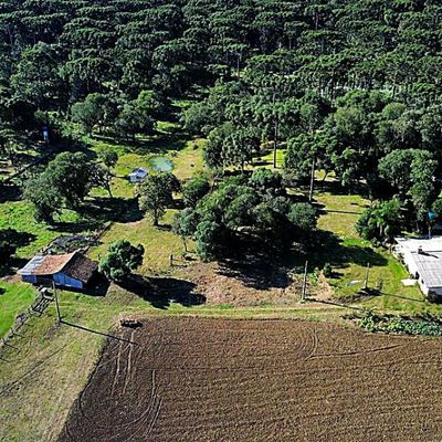 TERRENO À VENDA LOCALIZADO NO SÃO MIGUEL DA ROSEIRA - Terreno em SÃO MIGUEL DA ROSEIRA, São Mateus do Sul - à venda - Salvielli Cordeiro Corretora de Imóveis