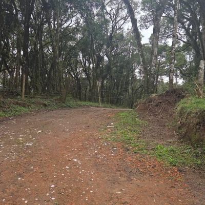 Chácara com área de 4.290 m² - Vila Franca, Piraquara/PR - Chácara em Vila Franca, Piraquara - à venda - MK Imóveis