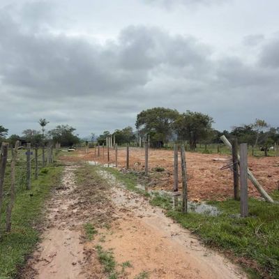 Caminho de terra com cercas de madeira e árvores ao fundo