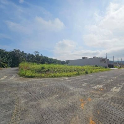TERRENO NO CENTRO DE SCHROEDER - Lote/Terreno em Centro, Schroeder - à venda - Brisa Sul Imóveis