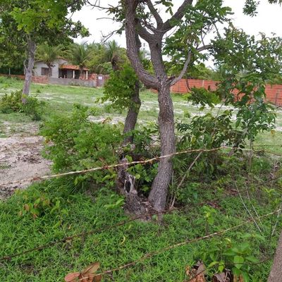 Terreno Tapera - Pau Pombo - 360 m² - R$ 65.000,00 - Lote/Terreno em Aquiraz - à venda - LEVEL IMOVEIS E SERVICOS LTDA