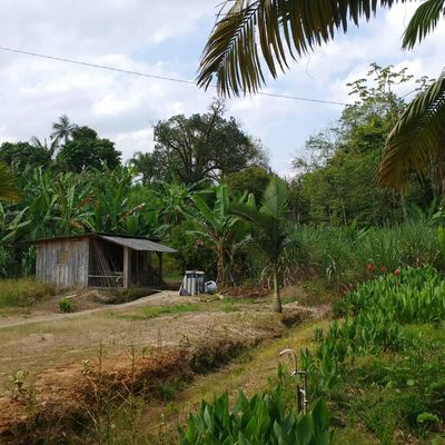 TERRENO CORTICEIRA - Lote/Terreno em Corticeira, Guaramirim - à venda - Cottage Imóveis ~ Creci 5946J