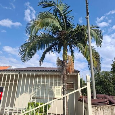 CASA PARA LOCAÇÃO - Casa em Jardim Residencial Sabo, Santo Ângelo - para locação - CLARICE FURTADO FLORES RIGO ME