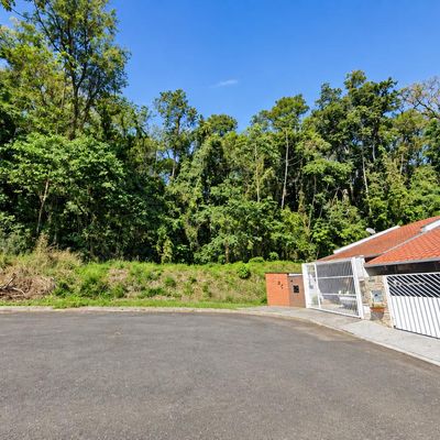 Terreno com 483m2 na Água Verde! - Lote/Terreno em Velha Central, Blumenau - à venda - CONCEITO IMOBILIARIA LTDA