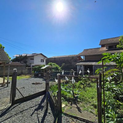 Terreno de 1.001m² com Viabilidade para Prédio Residencial – Barra do Rio Molha, Jaraguá do Sul/SC - Lote/Terreno em Barra do Rio Molha, Jaraguá do Sul - à venda - EW Imóveis