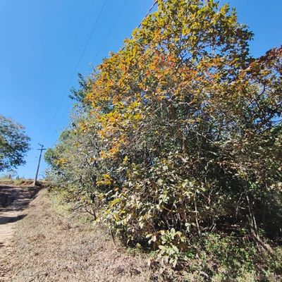 TERRENO DE 5.000 M² – TERRAS DE SANTA MARIA - Lote/Terreno em Apotribu, Itu - à venda - Janaina G A Marques Imóveis - ME