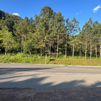 Terreno - BR-280, Corupá/SC - Terreno em BR-280, Corupá - à venda - Imobiliária Presença