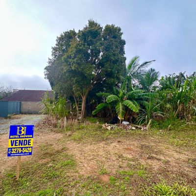 Lote/Terreno à Venda, Nereu Ramos - Jaraguá do Sul