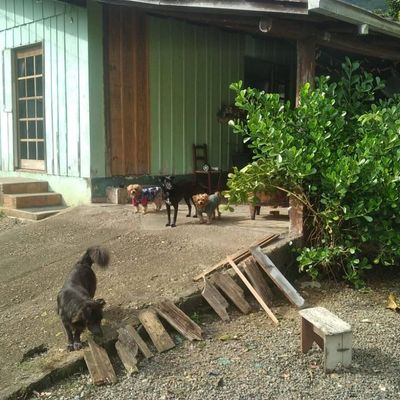 TERRENO COM 444 m² DE ÁREA - BARRA DO RIO MOLHA - Casa em Rio Molha, Jaraguá do Sul - à venda - IMOB Imóveis