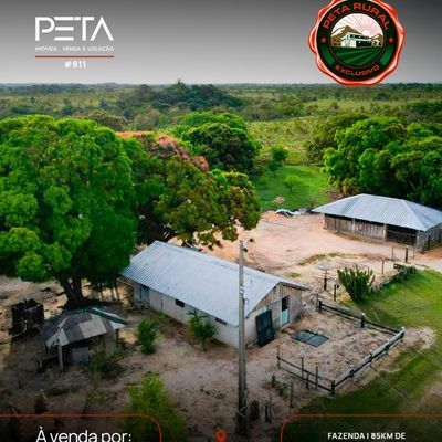 Fazenda à Venda, Área Rural de Boa Vista - Boa Vista