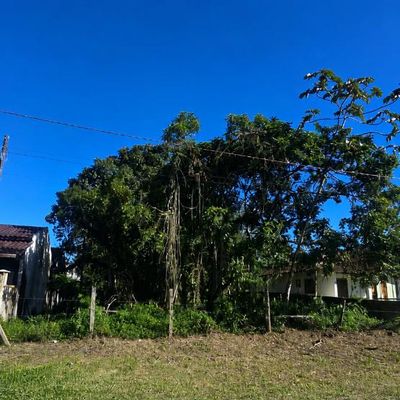 Oportunidade Terreno no Paese 15x32 - Lote/Terreno em Paese, Itapoá - à venda - Imobiliária Cimax Ltda