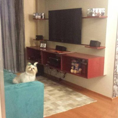 Apartamento à venda, 55 m² por R$ 355.000,00 - Cambuci - São Paulo/SP - Apartamento em Cambuci, São Paulo - à venda - Um Imóvel