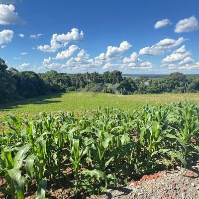 Fração Ideal nas margens da BR 476 - Terreno em São Mateus do Sul - à venda - Salvielli Cordeiro Corretora de Imóveis