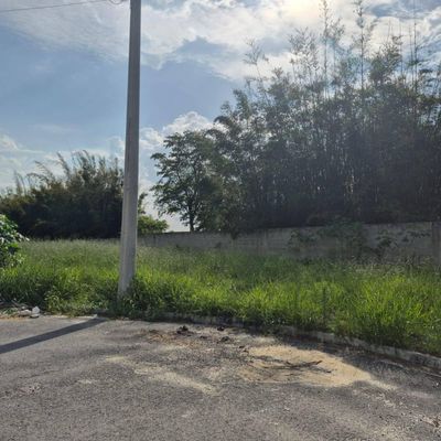 área externa com grama e muro