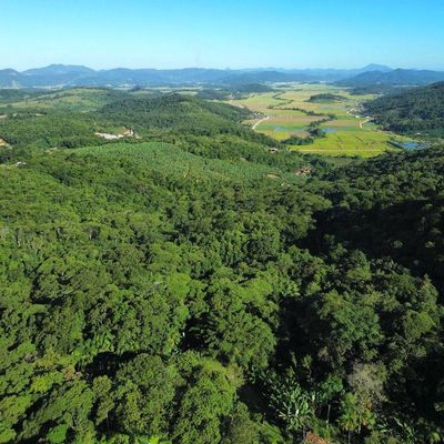Chácara com 8.040,73 m², Jacu Açu em Guaramirim - Chácara em Jacu Açu, Guaramirim - à venda - IMOB Imóveis