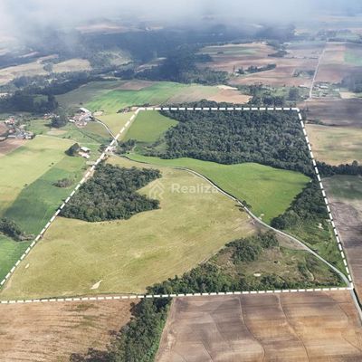 TERRENO AGRÍCOLA À VENDA - Rio das Pacas – Vidal Ramos/SC - Terreno em Rio das Pacas, Vidal Ramos - à venda - Realiza Imobiliária LTDA