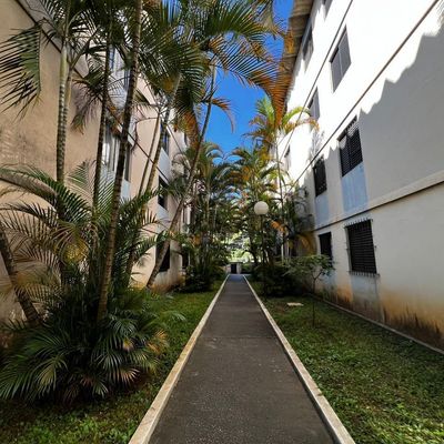 Apartamento com 2 quartos, Conjunto Residencial José Bonifácio - São Paulo