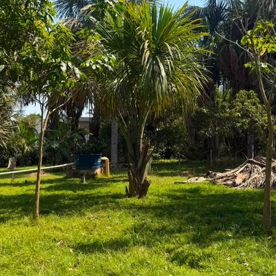 🌿 Chácara disponível a 3km da cidade